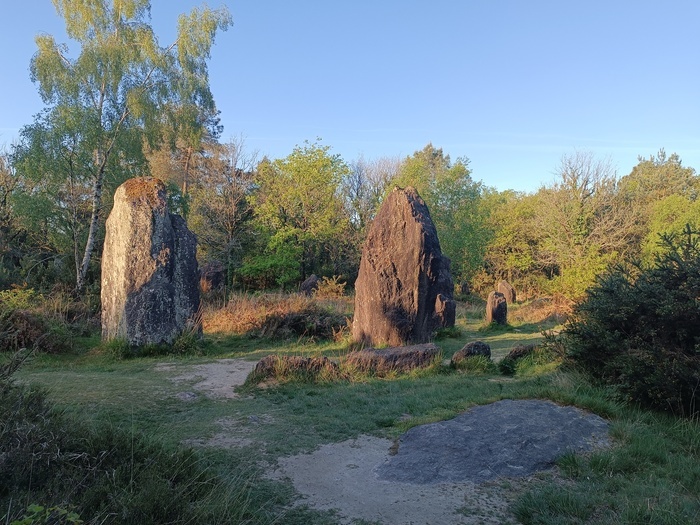 Visite guidée « Quand les pierres nous parlent », Les Menhirs de Monteneuf, Monteneuf