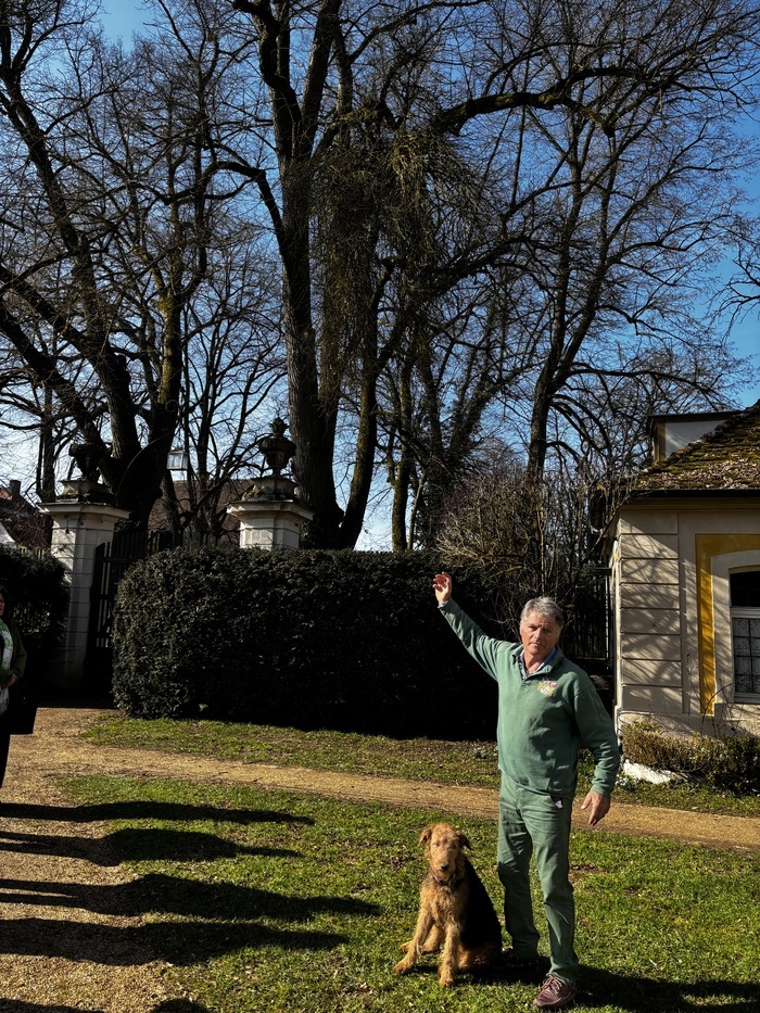 Visite guidée sur le thème « Voir pour les quadrupèdes », Schlosspark Dennenlohe, Unterschwaningen
