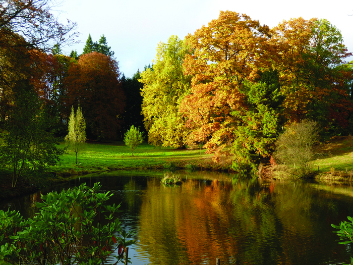 Visite libre de l'arboretum du château de Neuvic d'Ussel Arboretum du Château de Neuvic d'Ussel Neuvic