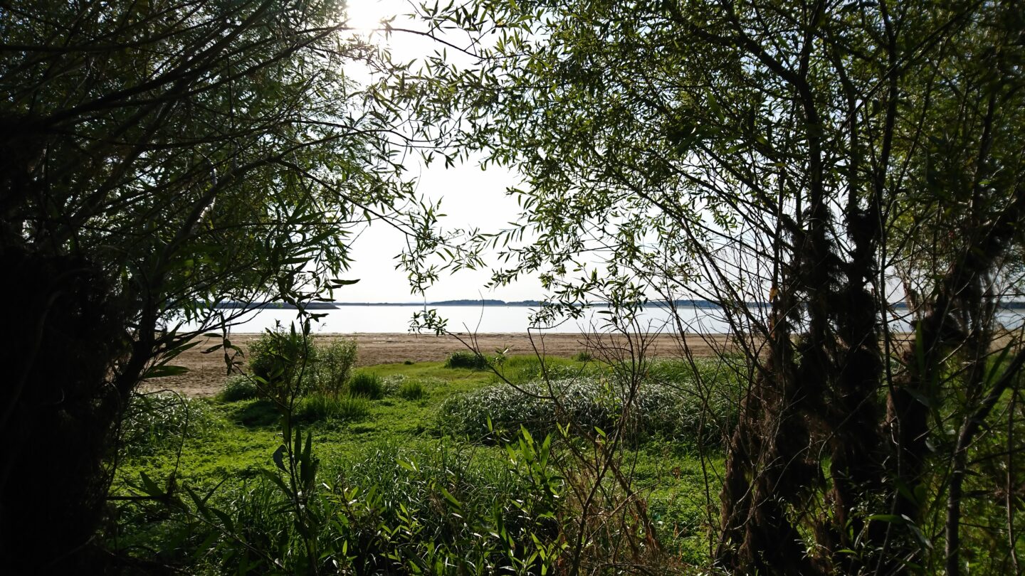 Visite nature Balade champenoise RDV à la Maison du Lac Mesnil-Saint-Père 2026-07-29
