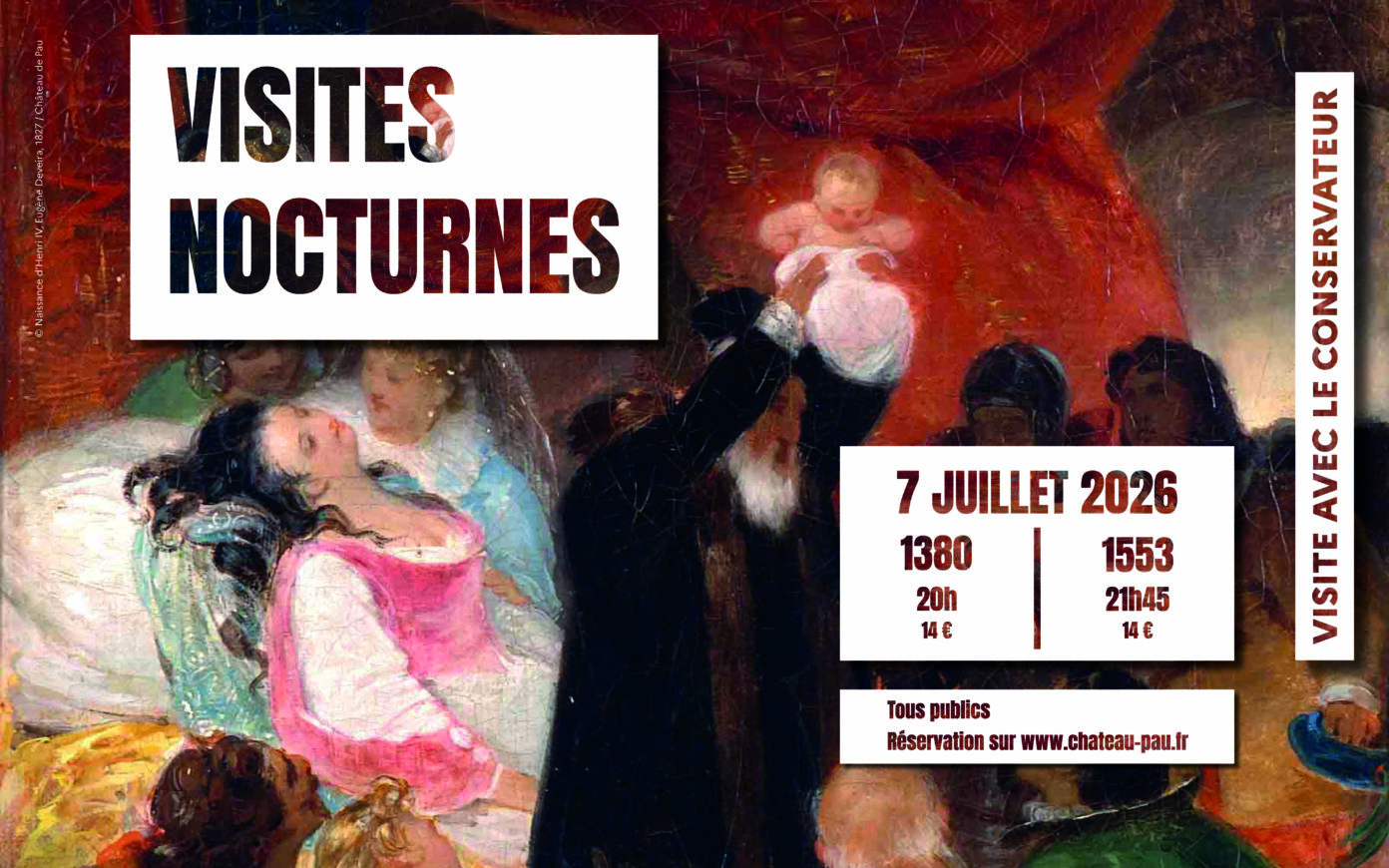 Visite nocturne 1380 Rue du Château Pau