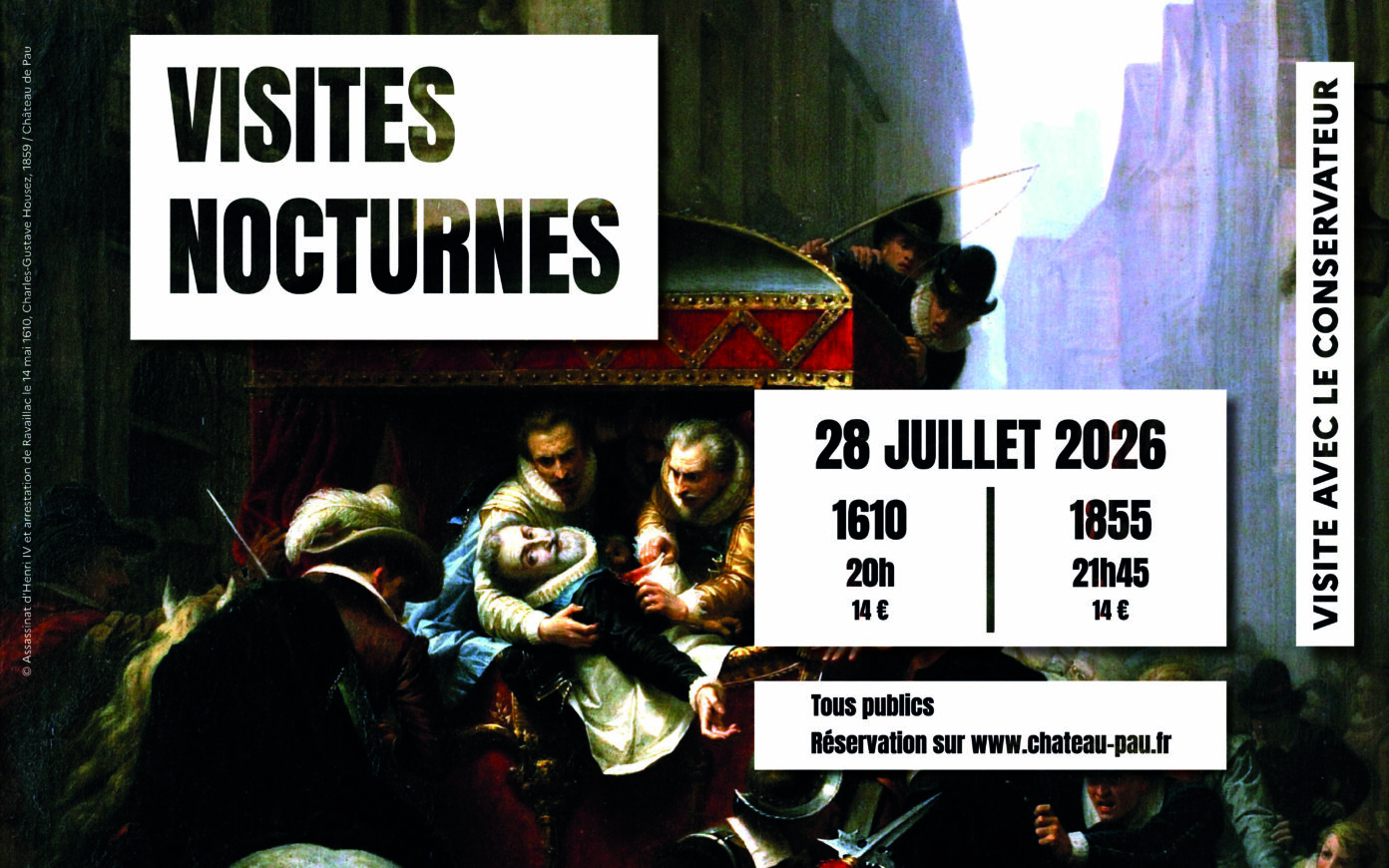 Visite nocturne 1610 Rue du Château Pau