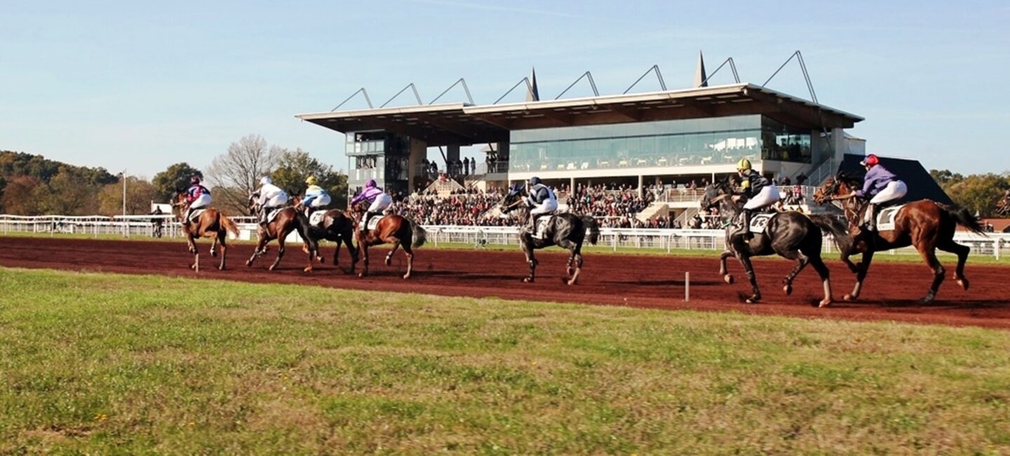 Visite secrète du Pôle du Cheval et de l'Âne et de l'hippodrome La Celle-Condé 2026-08-09