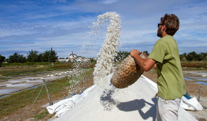 Visites guidées des Marais salants de la Vie, Les Marais salants de la Vie, Saint-Hilaire-de-Riez