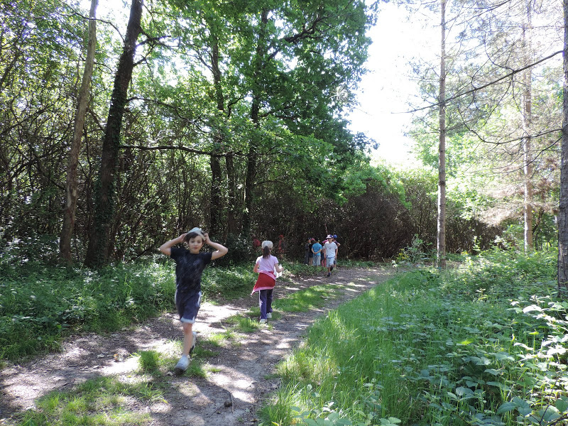 Votre été dans le Grand Cubzaguais avec les Anim’été Saint-Gervais