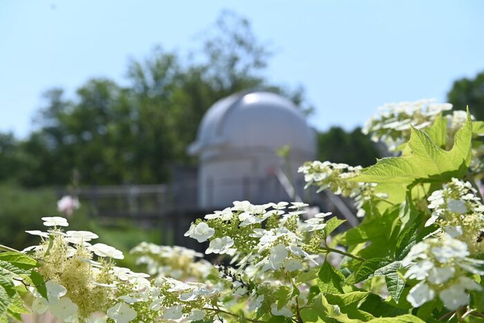 Voyage entre science et rêve au jardin astronomique, Planétarium de Vaulx-en-Velin, Vaulx-en-Velin