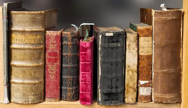 20ème édition Salon du livre, peinture et art Naucelle