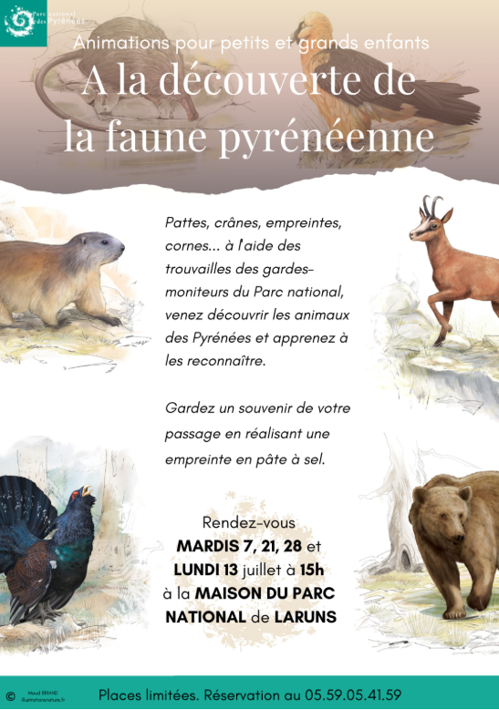 A la découverte de la faune pyrénéenne Maison du parc national des Pyrénées Laruns