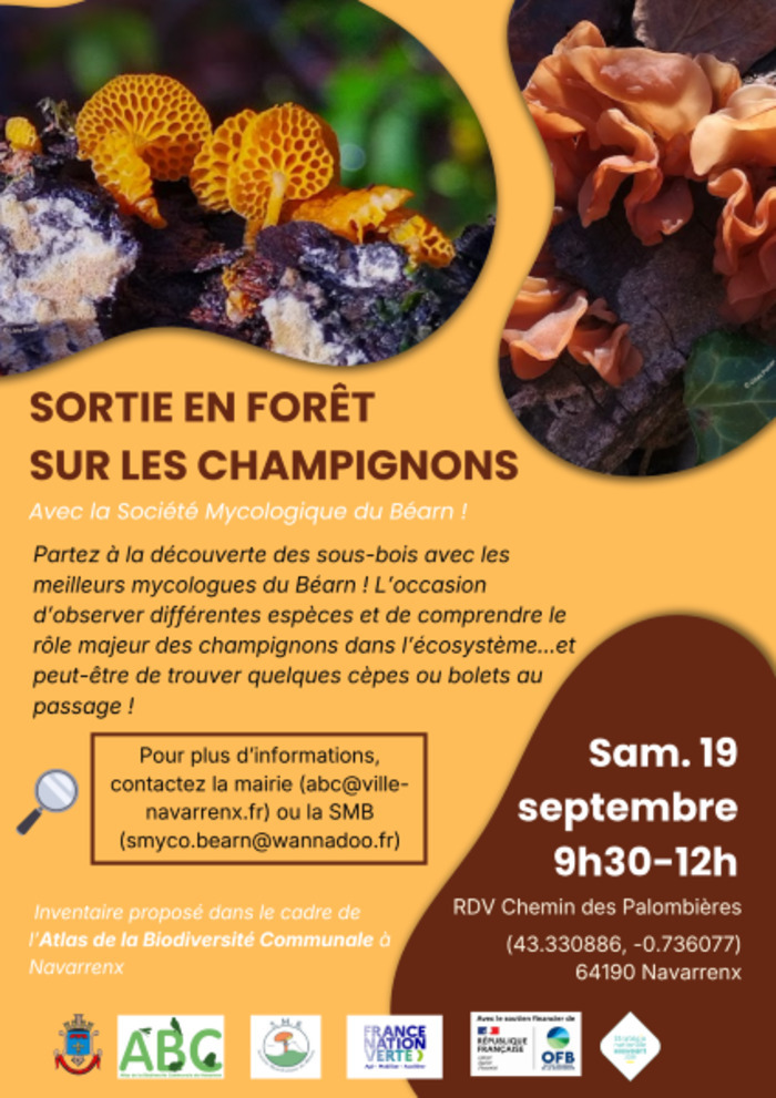 À la découverte des champignons des vielles forêts, Chemin des palombières, Navarrenx