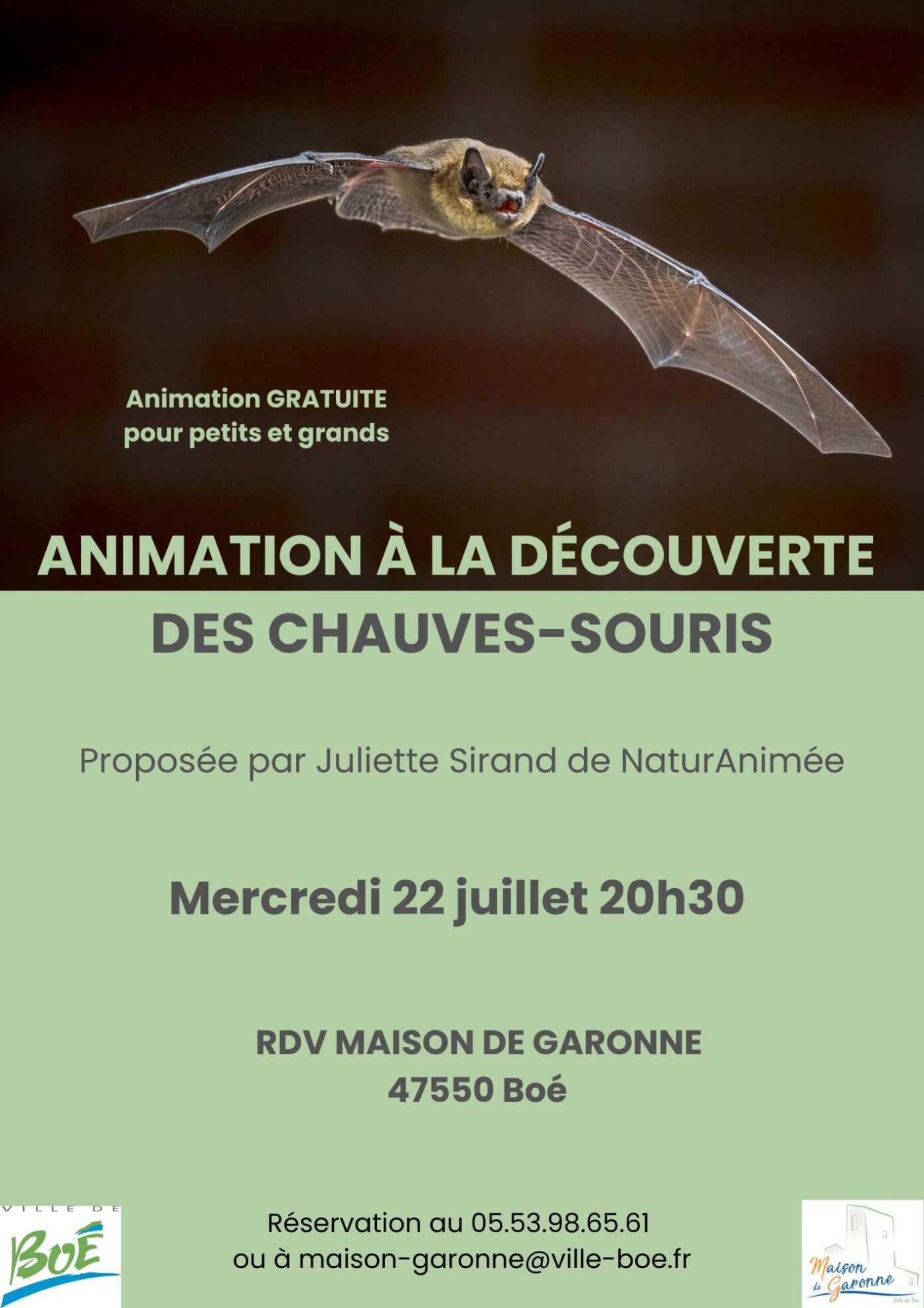 A la découverte des chauves-souris Maison de Garonne Boé
