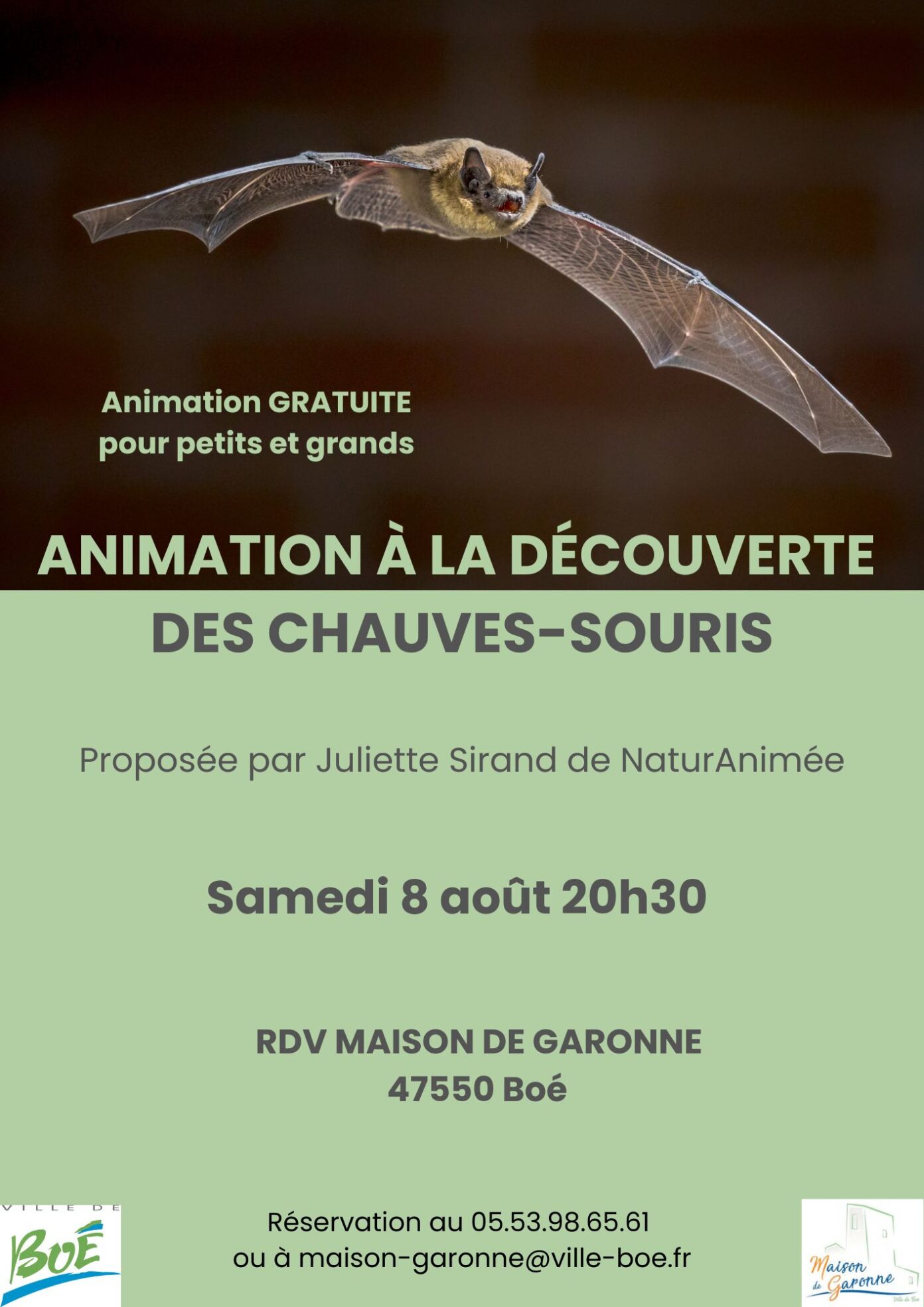 A la découverte des chauves-souris Maison de Garonne Boé