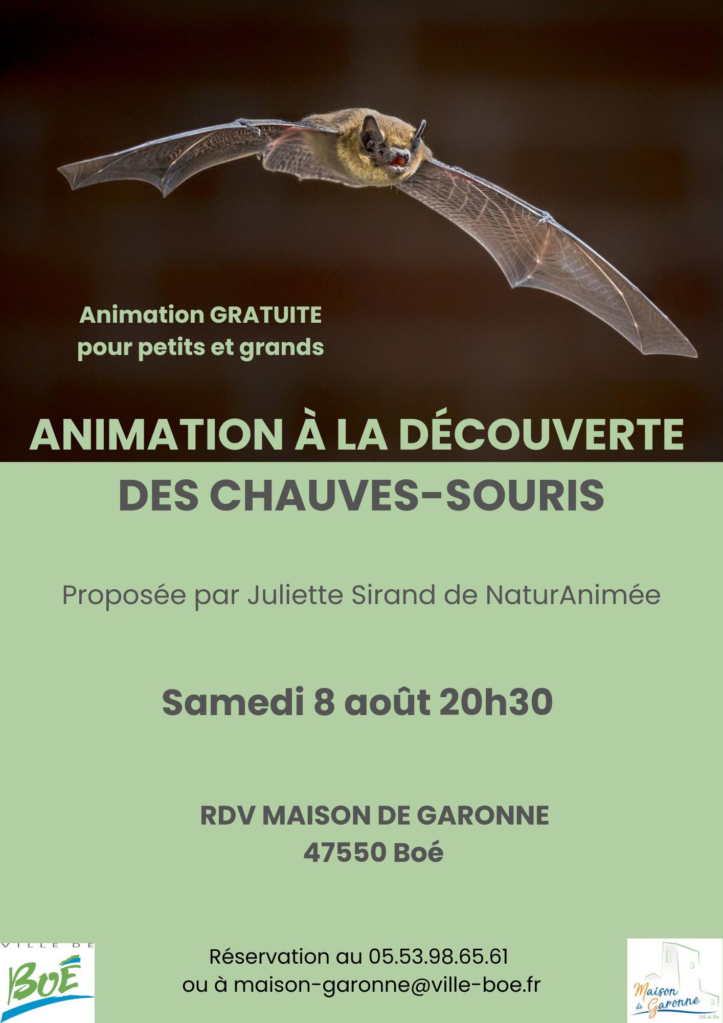 A la découverte des chauves-souris Maison de Garonne Boé
