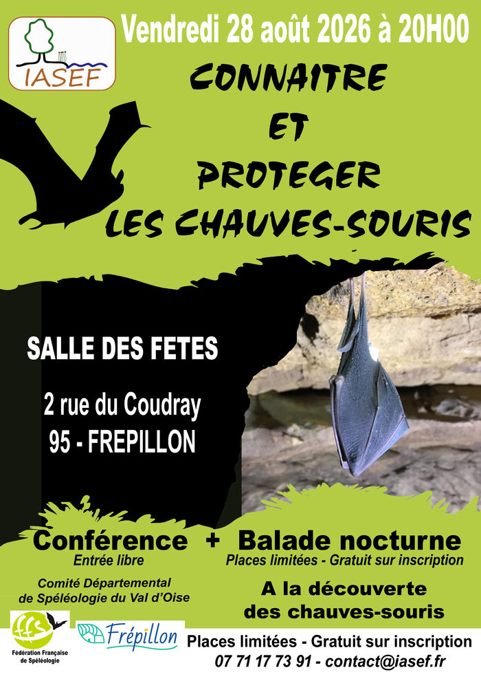 A la découverte des chauves-souris, Espace Eugène Delacroix 2 rue du Coudray à Frépillon, Évreux