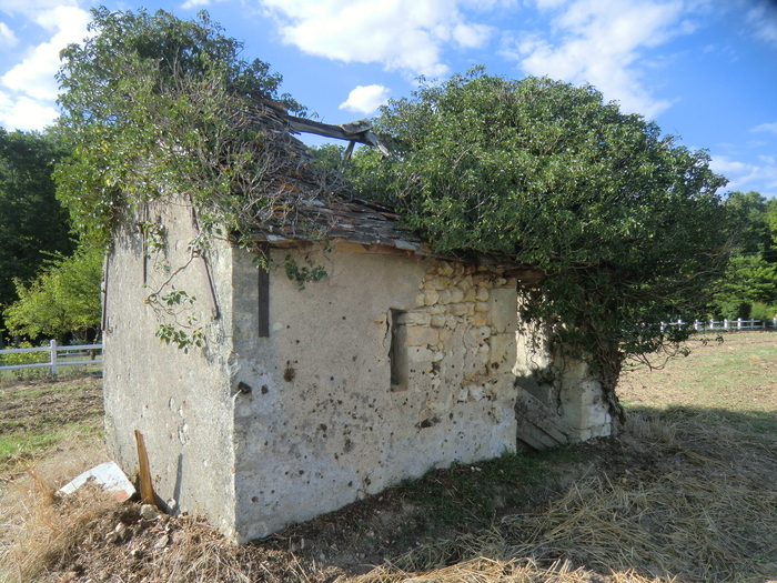 A la découverte des dernières loges de vigne à Nouzilly, Stade des Marronniers, Nouzilly
