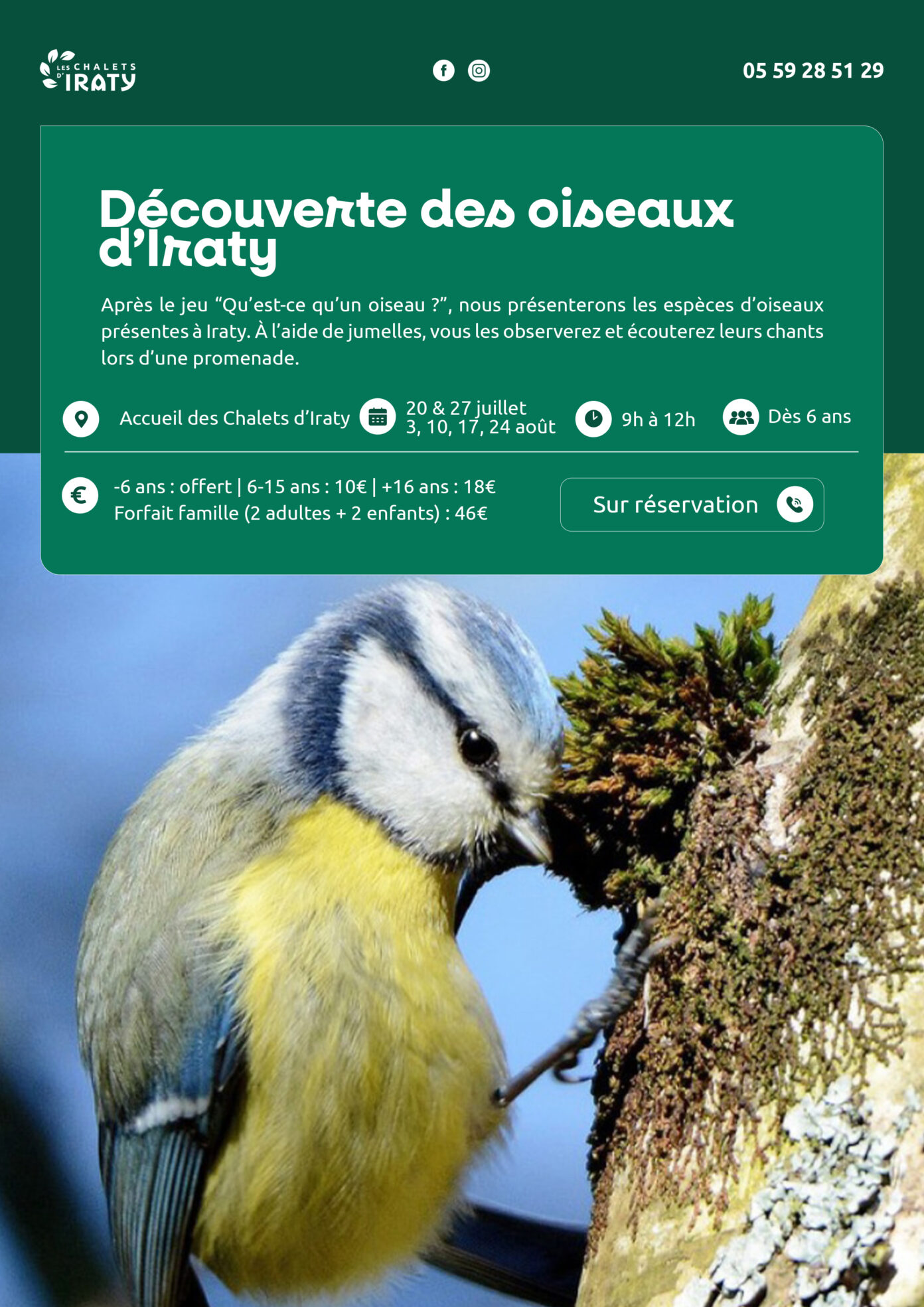 À la découverte des oiseaux Larrau