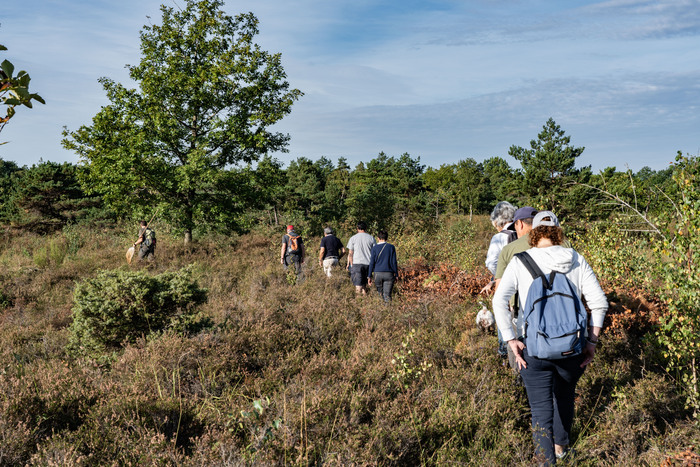 A la découverte des Pâtis du Mesnil, Réserve Naturelle Nationale des Pâtis d’Oger et du Mesnil-sur-Oger, Le Mesnil-sur-Oger