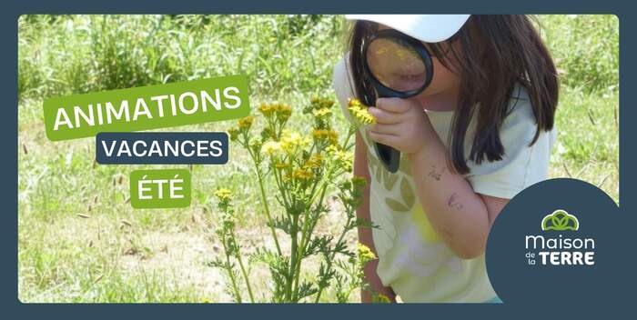A la découverte des petites bêtes du sol, Maison de la Terre, Plélo