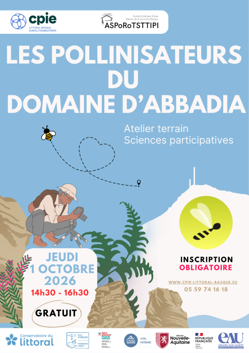 A la découverte des pollinisateurs du domaine d’Abbadia Route de la Corniche Hendaye