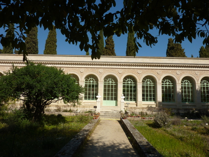 À la découverte du jardin des plantes de Montpellier, Jardin des plantes, Montpellier