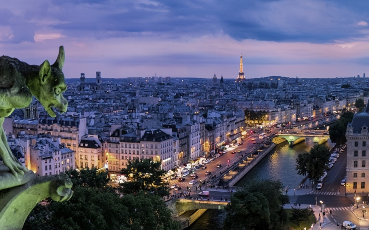 À la recherche du bestiaire français perdu… Maison de l'animal en ville - Jane Goodall Paris