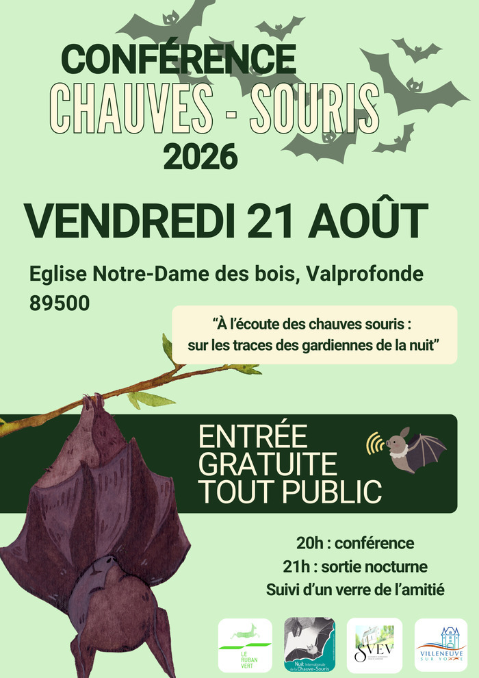 À l’écoute des chauves souris : sur les traces des gardiennes de la nuit, Eglise notre dame des bois, Villeneuve-sur-Yonne