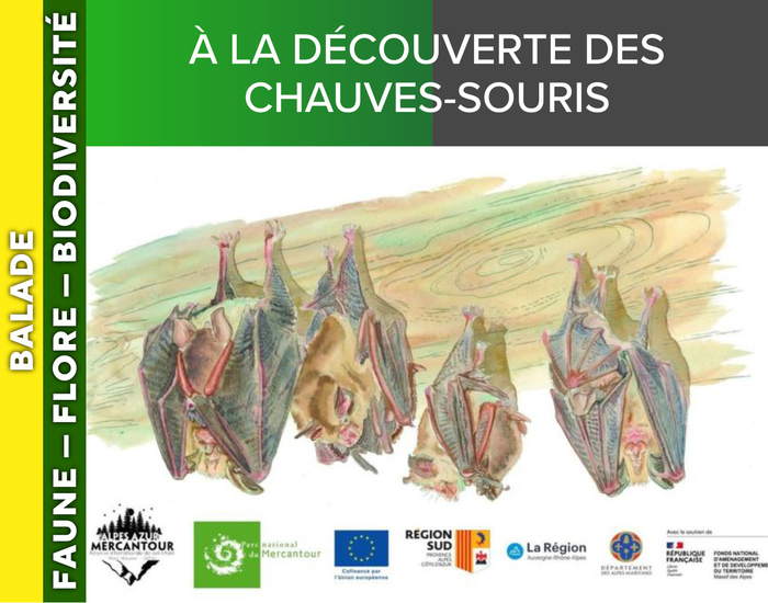 ALPES AZUR MERCANTOUR – À la découverte des chauves-souris, 04400 Uvernet-Fours, Uvernet-Fours