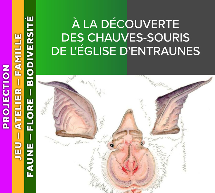 ALPES AZUR MERCANTOUR – À la découverte des chauves-souris de l’église d’Entraunes, Église d’Entraunes, Entraunes