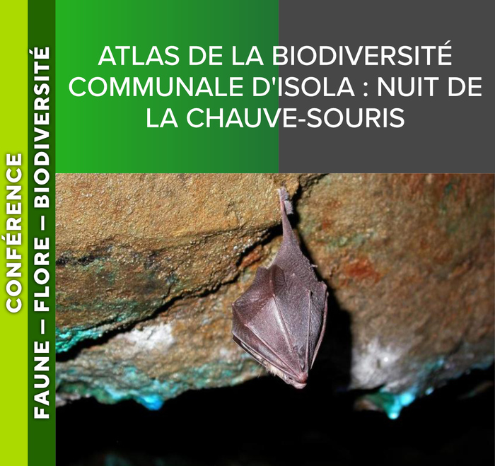 ALPES AZUR MERCANTOUR – Atlas de la biodiversité communale d’Isola : nuit de la chauve-souris, Centre de vacances le Foehn, 06420 Isola, Isola