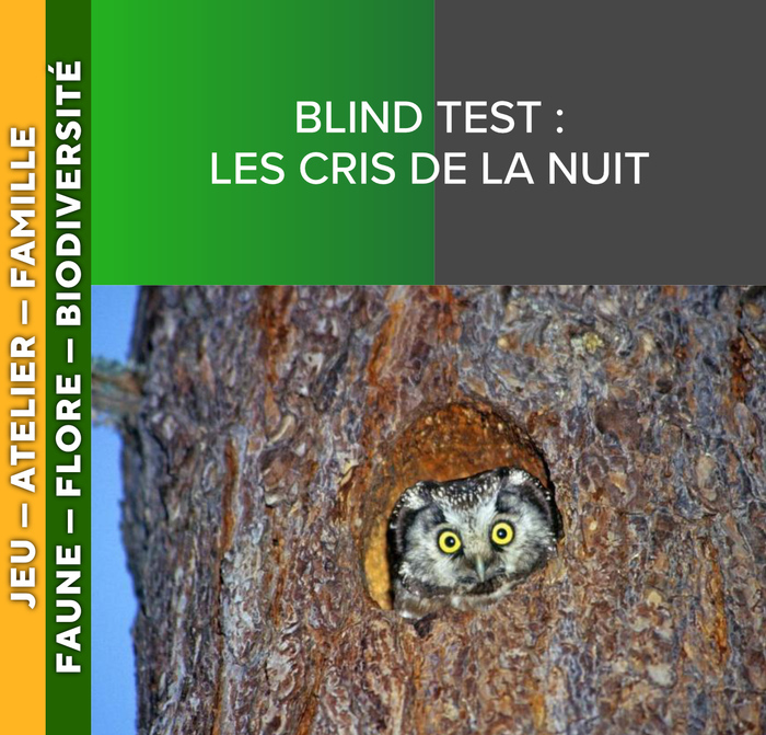 ALPES AZUR MERCANTOUR – Blind Test : Les cris de la nuit, Salle communale de Saint-Sauveur-sur-Tinée, Saint-Sauveur-sur-Tinée