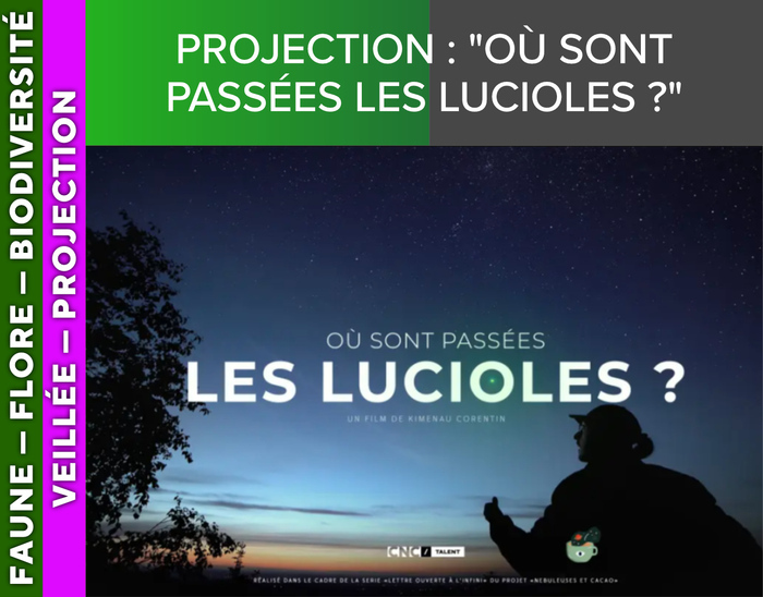 ALPES AZUR MERCANTOUR – Projection : « Où sont passées les lucioles ? », Salle du Conseil, Place du lavoir, 06470 Péone, Péone