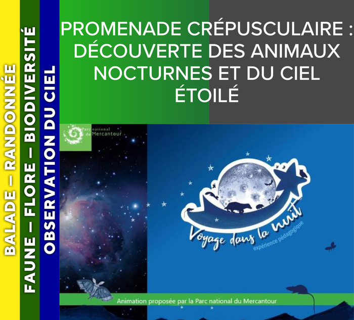 ALPES AZUR MERCANTOUR - Promenade crépusculaire : découverte des animaux nocturnes et du ciel étoilé Camping des marmottes