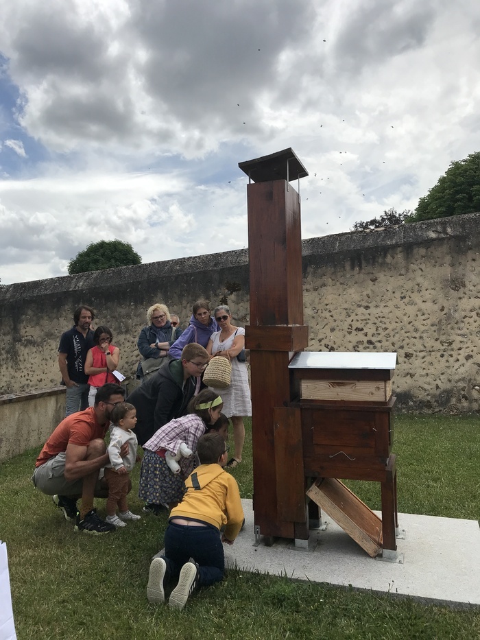 Animation « Api hour » – Découverte des abeilles noires, Château-Musée de Senonches, Senonches