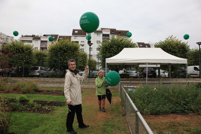 Animation autour de la récolte de graines au jardin Vavilov, Jardin Vavilov, Épinay-sur-Seine