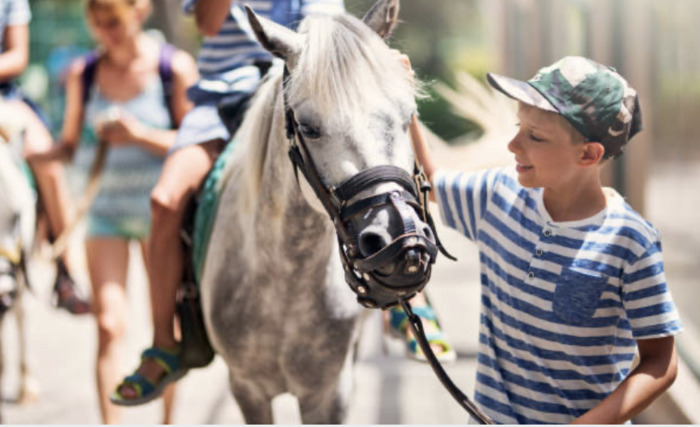 Animation jeune public : à la découverte du patrimoine à dos de poney, Château d’Ivry-la-Bataille, Ivry-la-Bataille