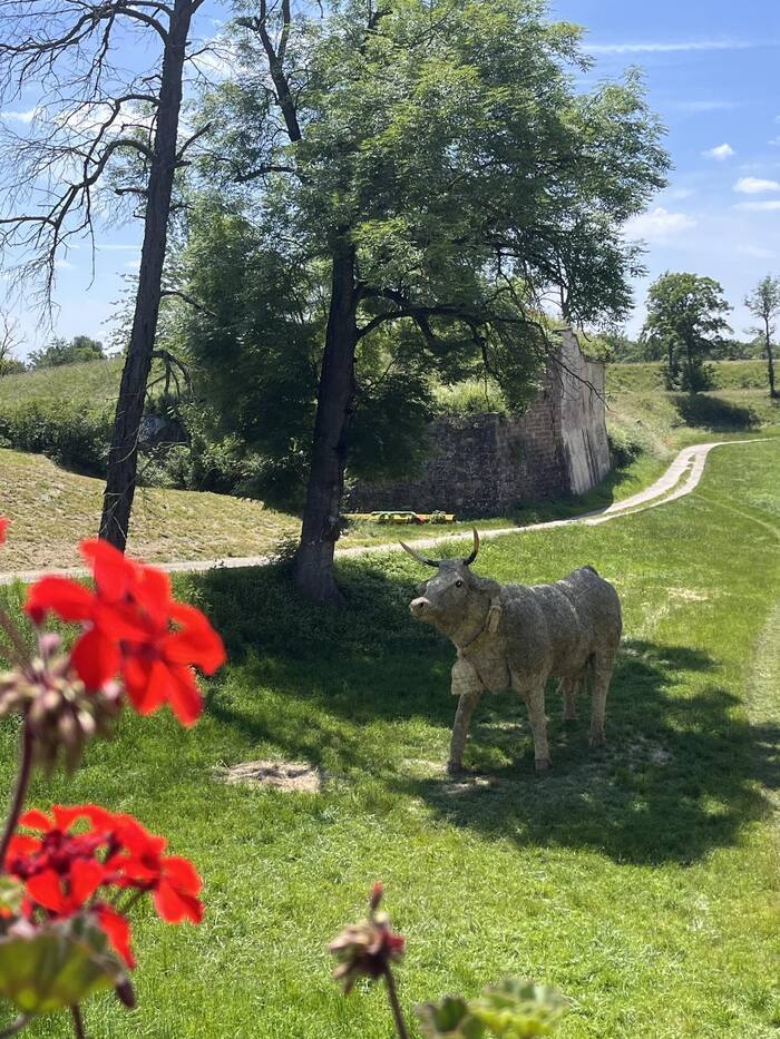 Animation portant sur le patrimoine naturel de Neuf-Brisach, Fortifications Vauban, Neuf-Brisach