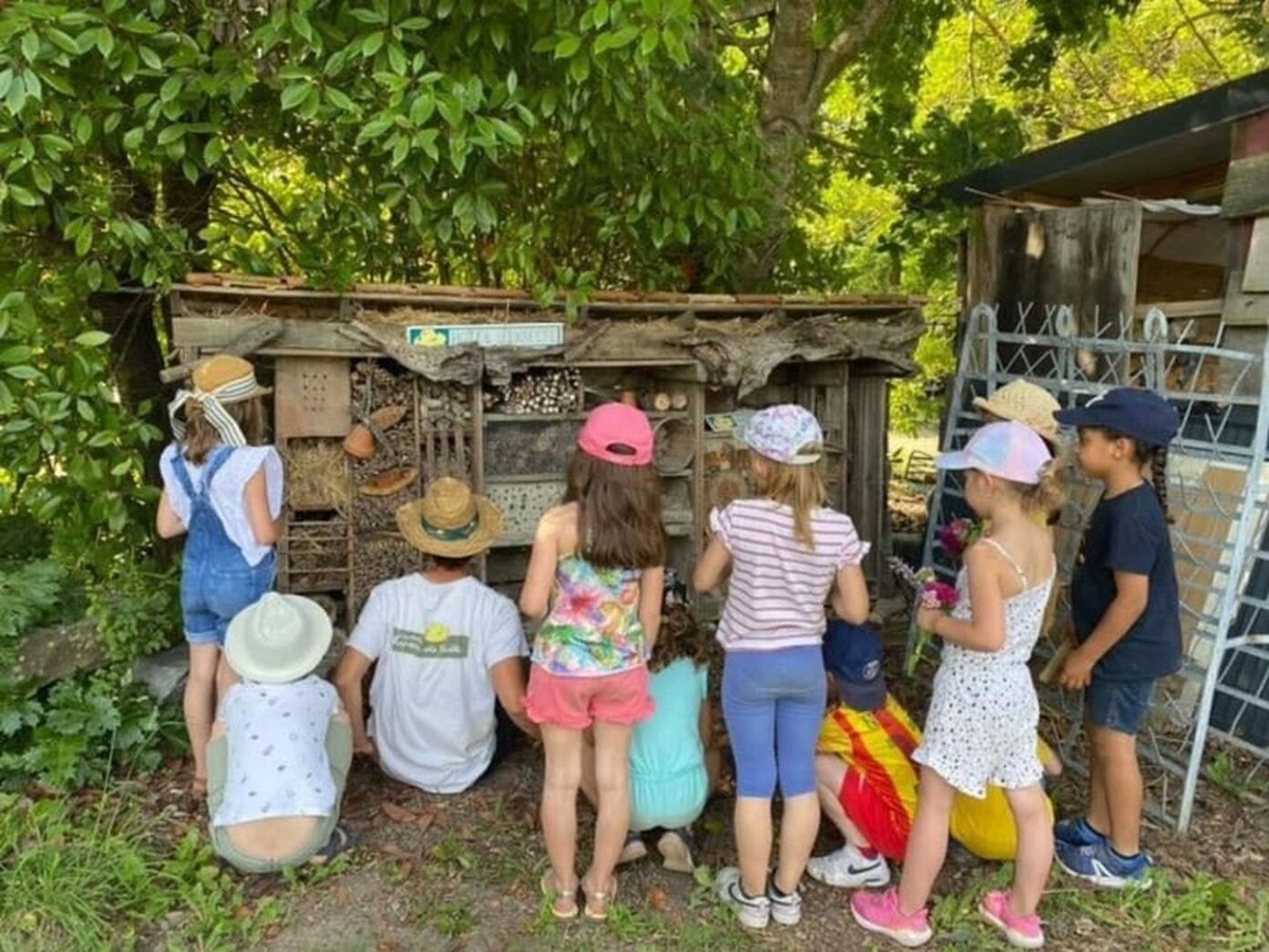Animation sur les papillons, à la Cueillette de l’Aragnon Route de Pau Montardon