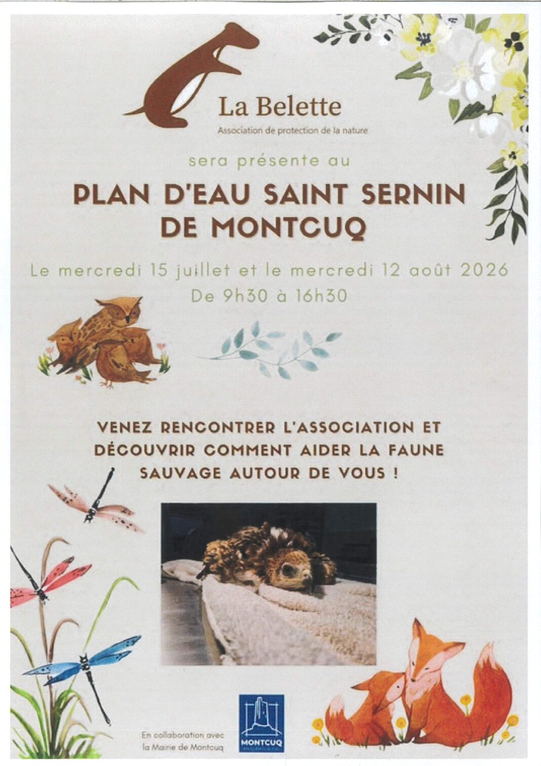 Animations de La Belette au plan d’eau Saint Sernin de Montcuq Montcuq-en-Quercy-Blanc