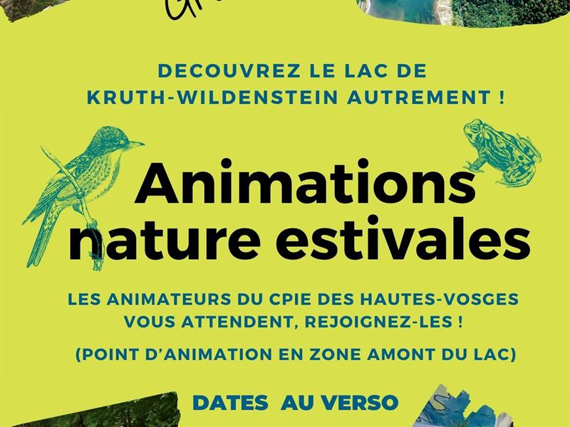 Animations nature estivales Wildenstein