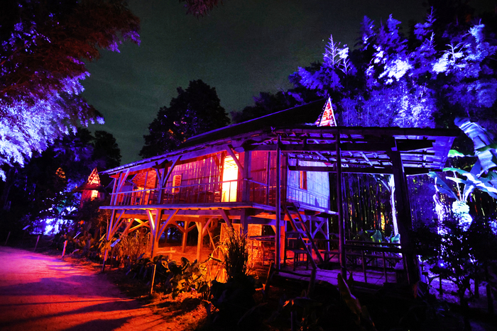 Arborescences : spectacle son et lumière La Bambouseraie en Cévennes Générargues