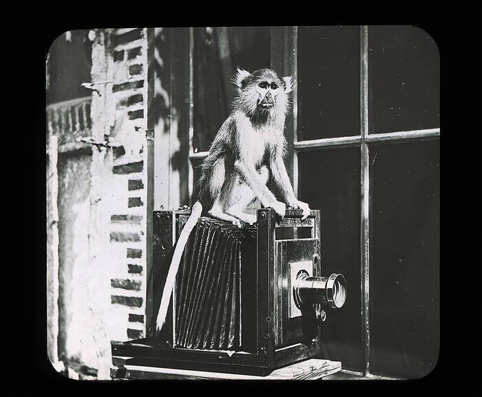 Archives départementales de Loire-Atlantique | 200 photos pour 200 ans d’histoire Archives départementales de Loire-atlantique Nantes