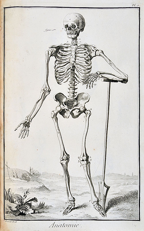 ARPL 2026 Visite guidée des planches Anatomie de l&rsquo;Encyclopédie  Langres
