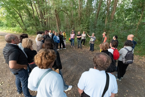 Arts en Sèvre Parcours piéton à Niort Niort