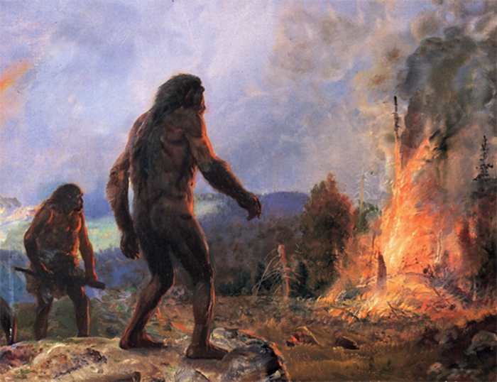 Atelier – Allumer un feu à la préhistoire, Parc de l&rsquo;Isle, Cepoy