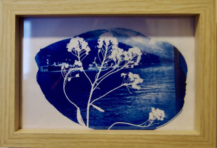 Atelier Cyanotype, 125 Av. Lacassagne, 69003 Lyon, France, Lyon