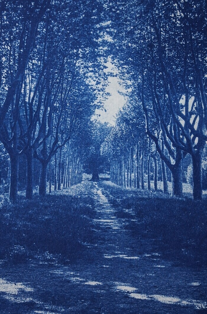 Atelier cyanotype, Archives départementales de la Drôme, Valence