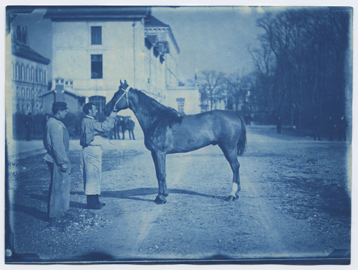 Atelier cyanotype « De l’archive à l’artiste: la photographie », Archives départementales du Val-de-Marne, Créteil