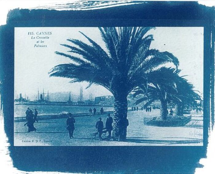 Atelier cyanotype : découverte et pratique d&rsquo;une ancienne technique photographique, Archives municipales de Cannes, Villa Montrose, Cannes