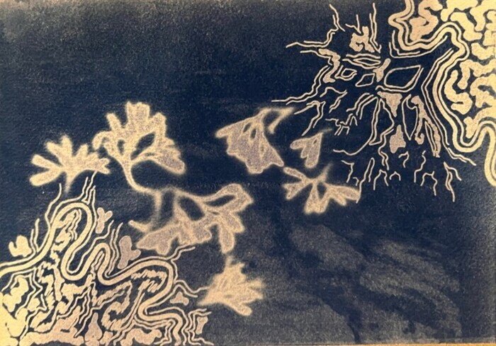 Atelier cyanotype, Hôpital Necker, Paris
