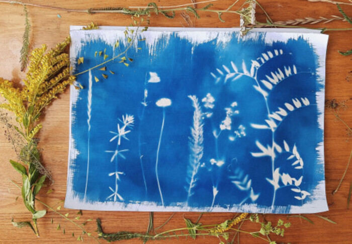 Atelier Cyanotype Médiathèque L@ Passerelle Tréméven