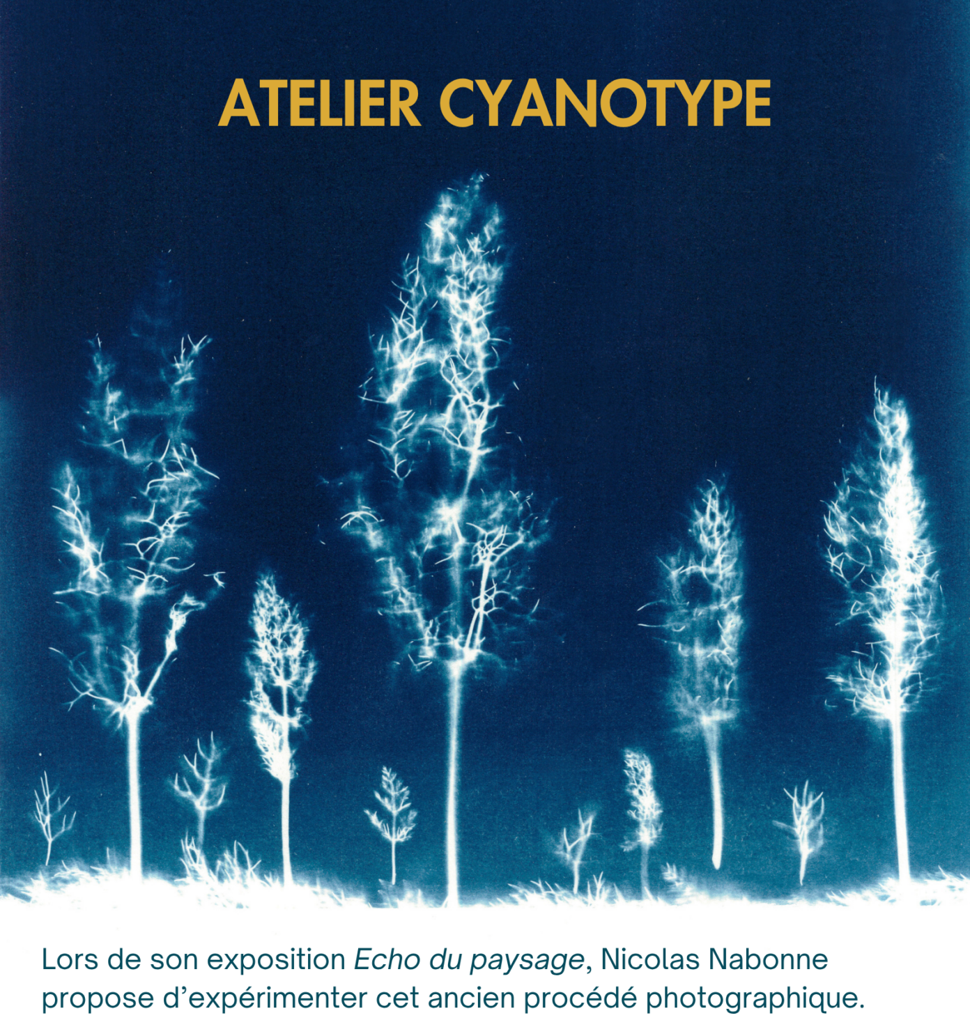 ATELIER CYANOTYPE GALERIE DUNIYA Muret